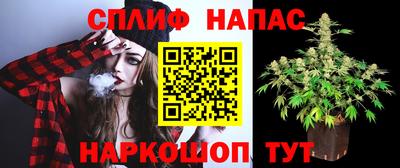 СК Бугуруслан