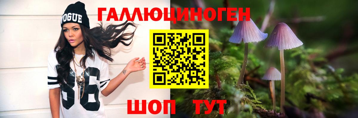 Псилоцибиновые грибы ЛСД  Вход с VPN  где найти   Чехов 